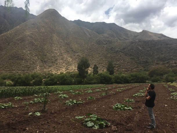 soledad