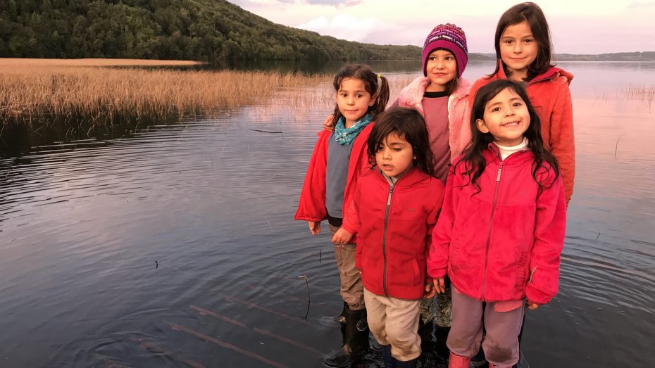 Mapuche